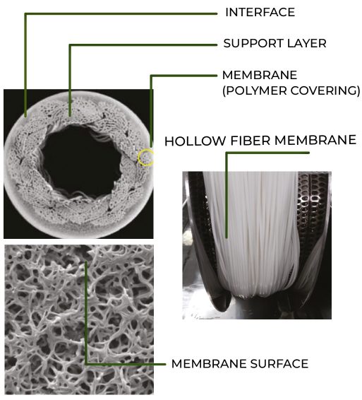 hollow fiber hollow fiber